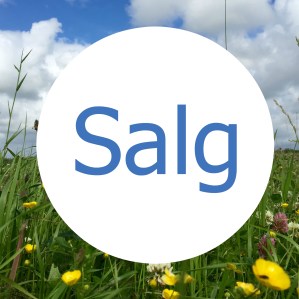 Salg - sommer 2