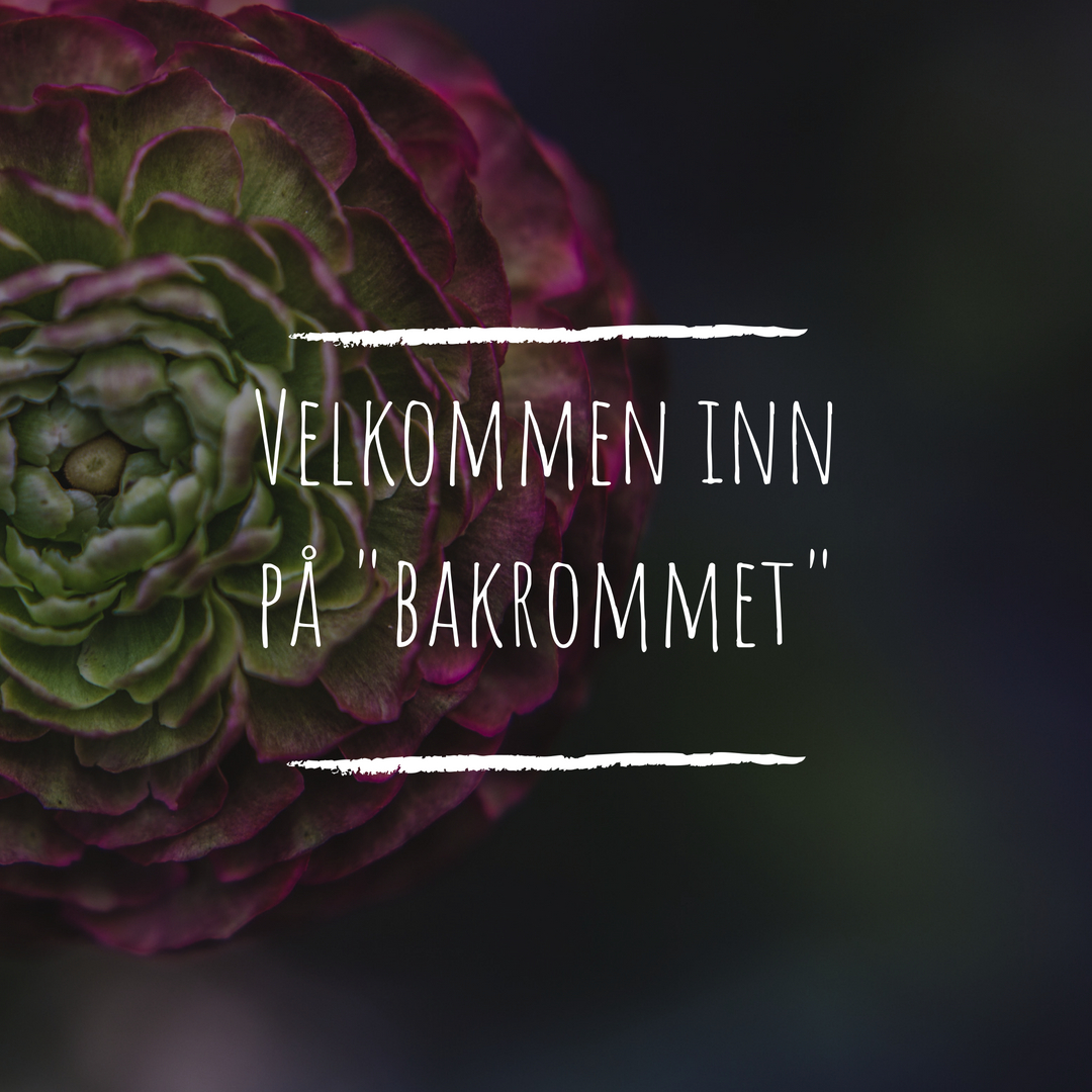 bakrommet